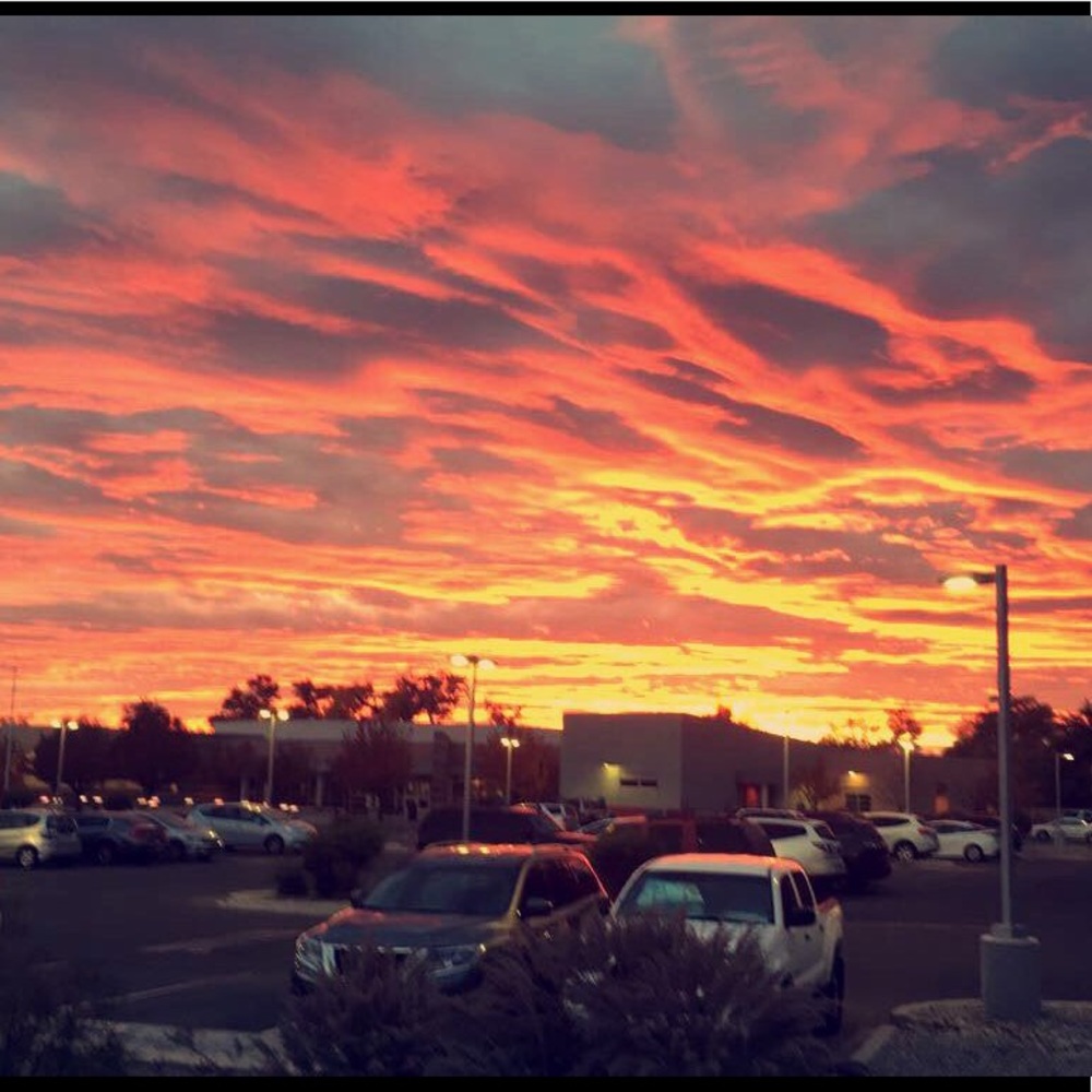 Meet your Posher, Mackenzie